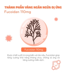 Thức ăn cho chó bị dị ứng (Meat free)