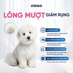 Thức ăn dinh dưỡng chức năng cho chó tăng cường sức khỏe da và tiêu hóa