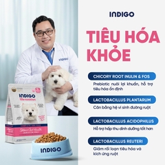 Thức ăn dinh dưỡng chức năng cho chó tăng cường sức khỏe da và tiêu hóa