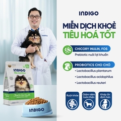 Thức ăn dinh dưỡng chức năng cho chó tăng cường sức khỏe khớp và tiêu hóa