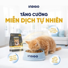 Thức ăn dinh dưỡng chức năng cho mèo con tăng cường sức khỏe tiêu hóa