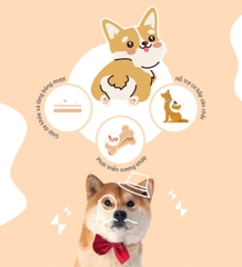 Thịt ức sấy cứng