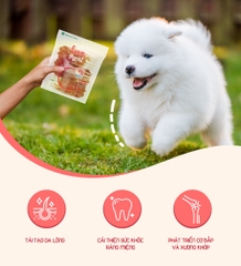 Thịt cuộn da bò