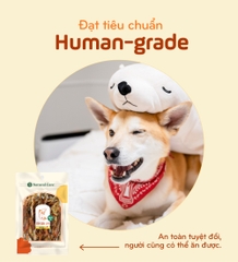 Cá hồi sấy cho chó