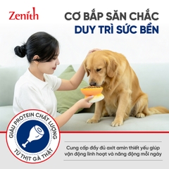 Thức ăn hạt mềm Zenith chó giống lớn
