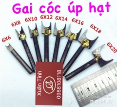 Mũi Gai Cóc cốt 6