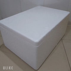 Thùng xốp Rich lùn (600*450*300)