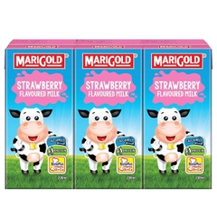 Sữa tươi Marigold vị dâu 1Y+
