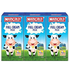 Sữa tươi Marigold nguyên kem 1Y+