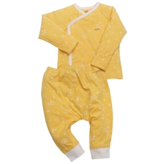 Nous CLNB vàng hình thỏ NB