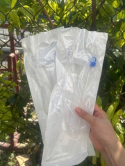 Sâu máy thở (Ống nối ống đặt nội khí quản)