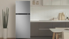 Tủ lạnh LG 217 lít LTB21SVMD
