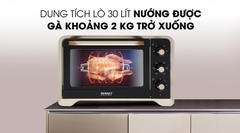 Lò nướng Sanaky VH309N2D 30 lít