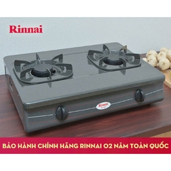 Bếp gas đôi dương Rinnai RV-360(GM)N