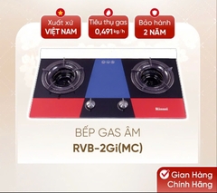 Bếp gas âm Rinnai RVB-2Gi(B) /(MC)