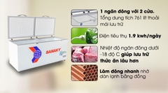 Tủ đông Sanaky Inverter 761 lít VH-8699HY3
