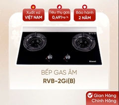 Bếp gas âm Rinnai RVB-2Gi(B) /(MC)