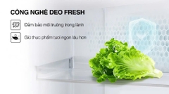 Tủ lạnh Aqua Inverter 358 lít AQR-T410FA(WGB)