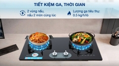 Bếp ga âm Rinnai RVB-220G(BG) / (B)
