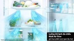 Tủ lạnh LG 217 lít LTB21SVMD