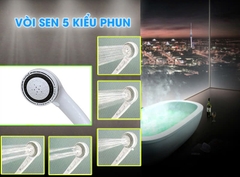 Máy nước nóng trực tiếp Centon 8998E 4.5kW