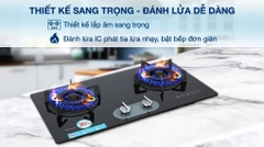 Bếp ga âm Rinnai RVB-220G(BG) / (B)