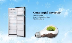 Tủ lạnh LG Inverter 266 lít LTB26BLM