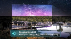 Smart Tivi Neo QLED Samsung AI 4K 75 inch QA75QN70F