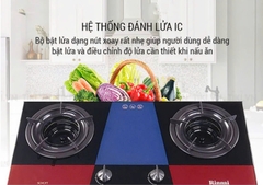 Bếp gas âm Rinnai RVB-2Gi(B) /(MC)