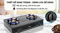Bếp gas đôi Rinnai RV-B271SB(EB)