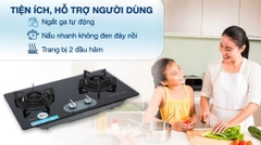 Bếp ga âm Rinnai RVB-220G(BG) / (B)