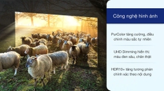 Smart Tivi Samsung 4K 50 inch UA50AU7700