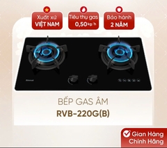 Bếp ga âm Rinnai RVB-220G(BG) / (B)