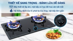 Bếp gas Rinnai RVB-2BG(B)/(D)/(F)/(L) N