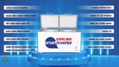 Tủ Đông Mát 2 Ngăn Smart Inverter DMF-3699WSI