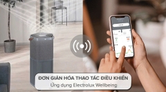 Máy lọc không khí Electrolux 41W PA91-606DG
