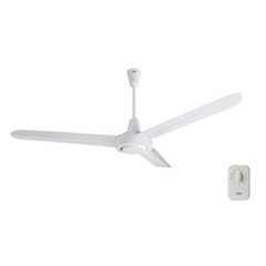 Quạt Trần Thái Lan 3 Cánh Hatari C56M1