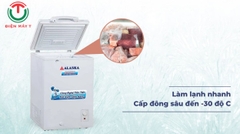 Tủ đông Alaska BD-150