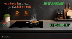 Bếp từ hồng ngoại Junger CEJ-300-IIF