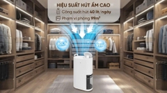 Máy hút ẩm LG Dual Inverter DD23GMWE1.ABAE