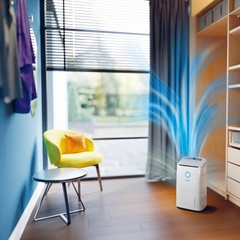 Máy hút ẩm và lọc không khí Philips 2 trong 1 DE5305/11