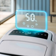 Máy hút ẩm và lọc không khí Philips 2 trong 1 DE5305/11
