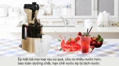 Máy ép chậm Ferroli FSJ-200M