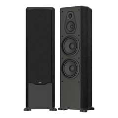 Loa đứng karaoke và nghe nhạc Paramax FX-1500