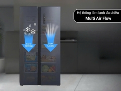 Tủ lạnh Toshiba Inverter 555 lít Side By Side GR-RS696WI-PMV(60)-AG