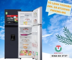 Tủ lạnh Toshiba Inverter 249 lít GR-RT325WE-PMV(06)-MG