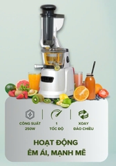 Máy ép chậm cỡ lớn Hafele HS-J42S (535.43.392)