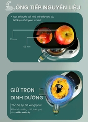 Máy ép chậm cỡ lớn Hafele HS-J42S (535.43.392)