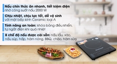 Bếp từ BlueStone ICB-6619