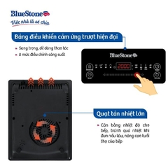Bếp từ BlueStone ICB-6619